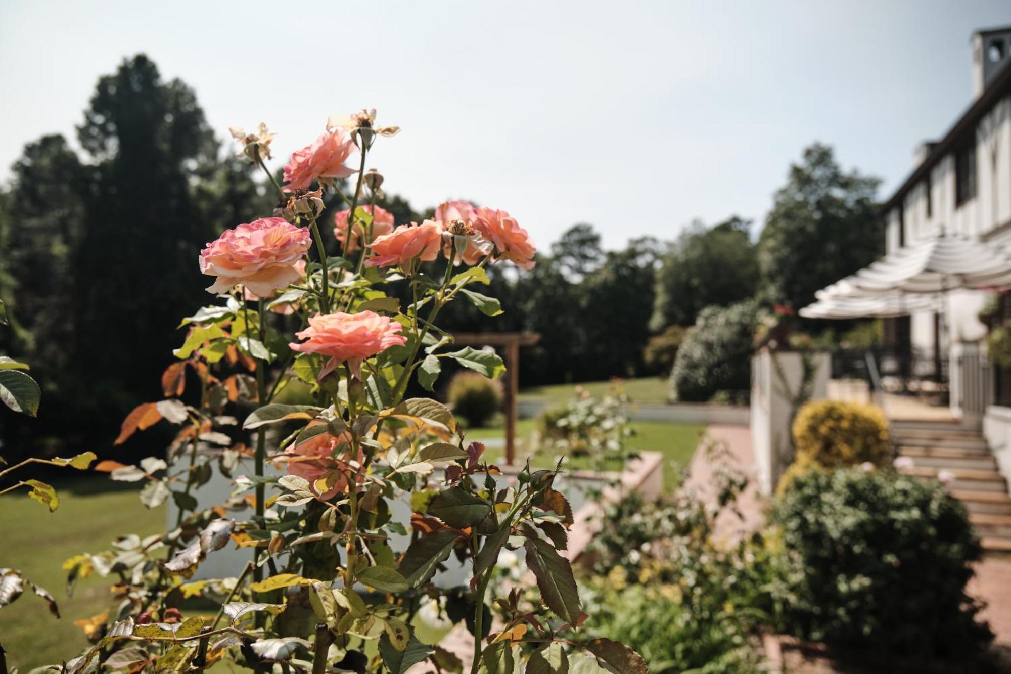 Duncraig Manor Bed & Breakfast Southern Pines Exterior photo